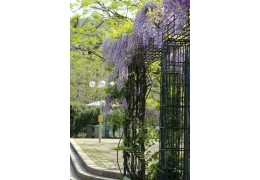 Construisez un treillis solide pour soutenir les plantes grimpantes telles que les haricots ou les roses à l'aide de tubes en acier